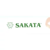 Sakata