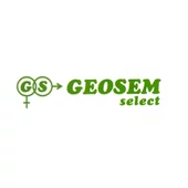 Geosem