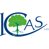 Icas