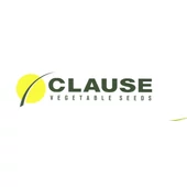 Clause