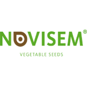 Novisem