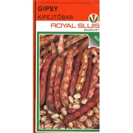 Gipsy   65 gr