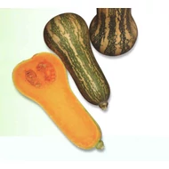 Barbara F.1   1.000 szem