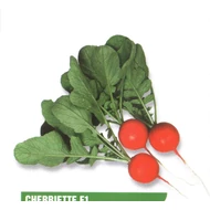 Cherriette F.1   10.000 szem