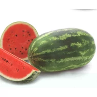 Daytona F.1   1.000 szem