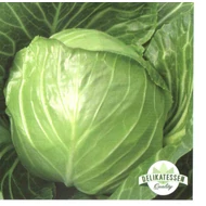 Elisa F.1   2.500 szem  