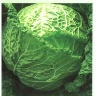 Estoril F.1   2.500 szem