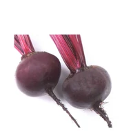 Kestrel F.1   50.000 szem