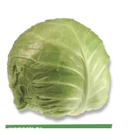 Nozomi F.1   2,500 szem 