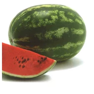 Odyssey F.1   1.000 szem