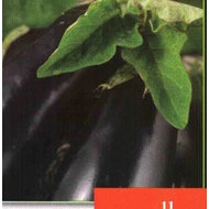 Alexandra  3,000 szem