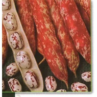 Borlotto Lingua di Fuoco    500 gr