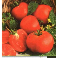 Ghittia   3,000 szem