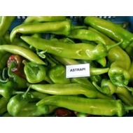 Astrapi  F.1.  100 szem