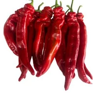 AL 701-17  F.1.   100 szem