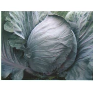 Rondale F.1. (Royale F.1. )   2,500 szem