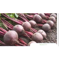 Action F.1.    50.000 szem