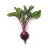 Bikores  50.000 szem