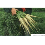 Eagle  25,000 szem  ECS, Prec