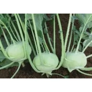 Konan  F.1.  2,500 szem