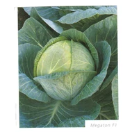 Megaton F.1.  2.500 szem  prec. Megaton F.1.  2.500 szem  prec.