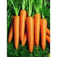 Vita Longa   50 gr