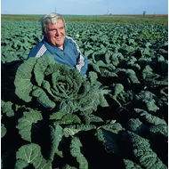 Wirosa F.1.  2.500 szem  prec.