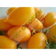 Zlatista   1 gr