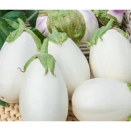 Clara  F.1.   250 szem