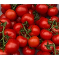 Speedax  F.1.   100 szem