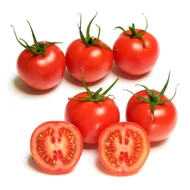 Axxy  F.1.  250 szem