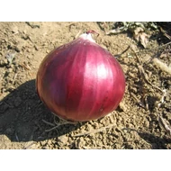 Fabula  F.1.  250,000 szem