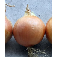 Kira  F.1.   250,000 szem