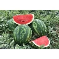 Macerena  F.1.  1,000 szem