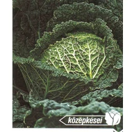 Manon F.1 (ms)   2.500 szem