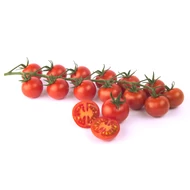 Mozia  F.1.   100 szem