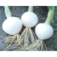 Nevix   100,000 szem