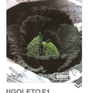 Rigoleto F.1 (ms)   2.500 szem