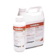 Kendal   1 l