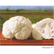 ARIZONA   2.500 szem