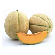 Donatello F.1    500 szem