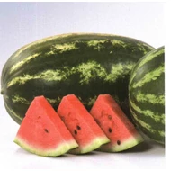 Dumara F.1   1.000 szem