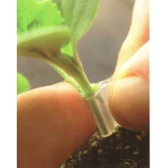 Shintosa Camelforce  F.1.  1000 szem