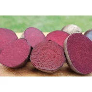 Red Sun  F.1.  50,000 szem