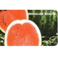 BRASILIAN BEAUTY F.1   1.000 szem