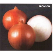 Bronson F.1.    250,000 szem