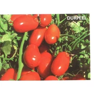 Durpeel  F.1.  1,000 szem