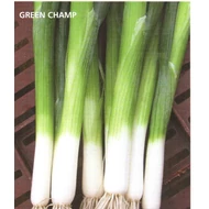 GREEN CHAMP   25.000 szem