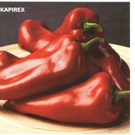 KAPIREX F.1   500 szem