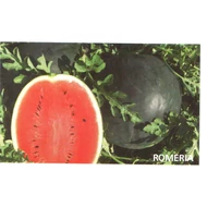 ROMERIA F.1   1.000 szem